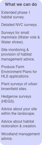 What we can do
Extended phase 1 habitat survey.
Detailed NVC surveys.
Surveys for small mammals (Water vole & Water shrew).
Site monitoring & provision of habitat management advice.
Produce Farm Environment Plans for HLS applications.
Plant surveys of urban brownfield sites.
Hedgerow surveys (HEGS).
Advice about your site within the landscape.
Advice about habitat restoration & creation.
Woodland management advice.